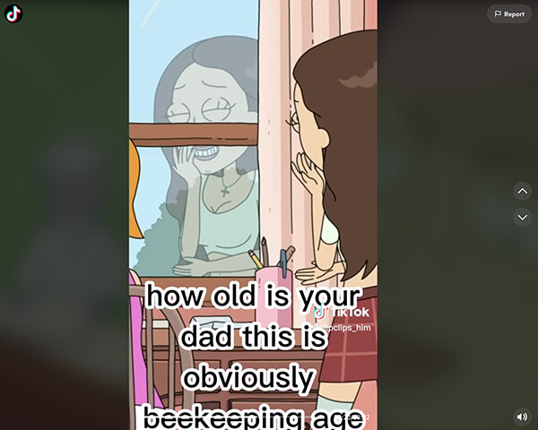 Rick and Morty beekeeping scene on TikTok