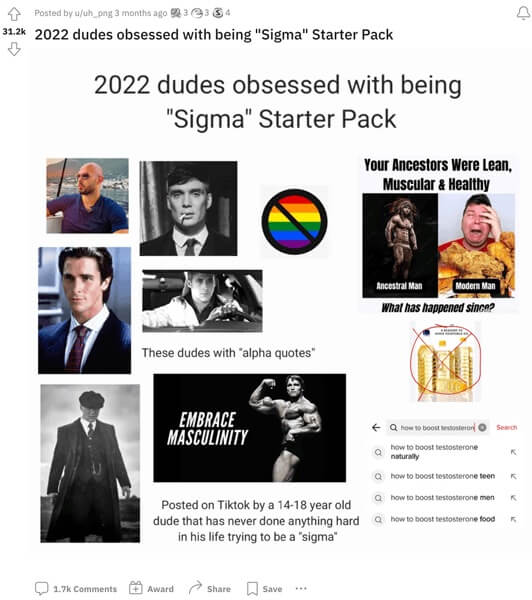 Some of the things self-proclaimed sigma males love